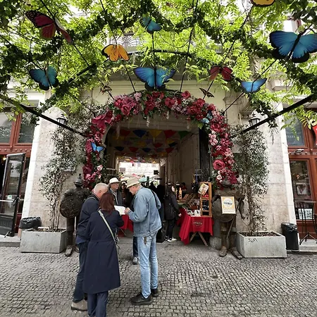 The White Star * Budapest